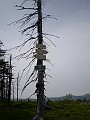 086-maly jezernik 1200 m